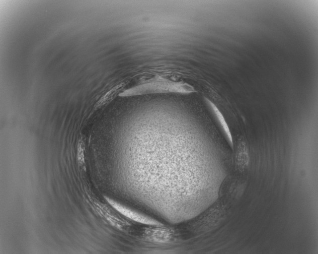 X0000085810282200703301533