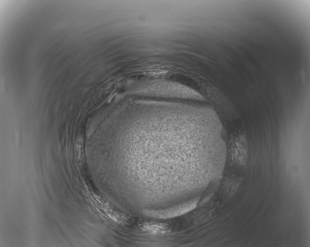 X0000085810283200703301533