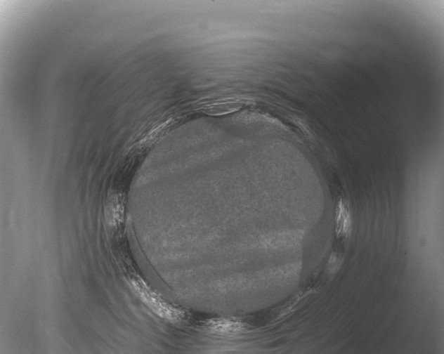 X0000085810284200703301533