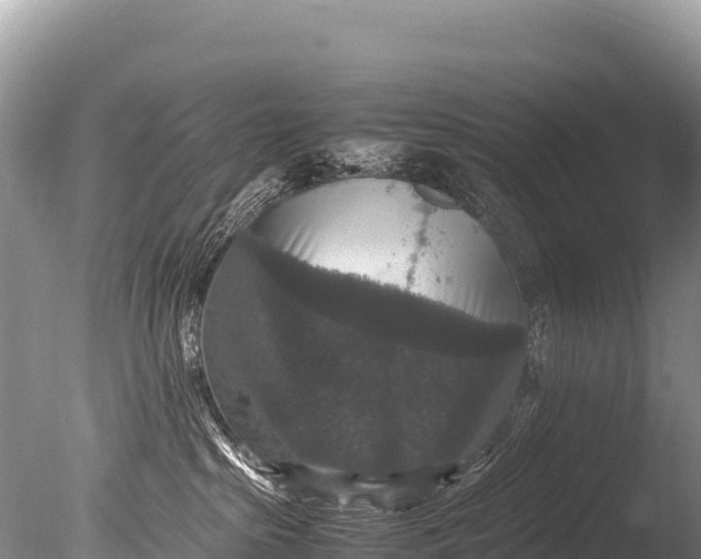 X0000085810285200703301533