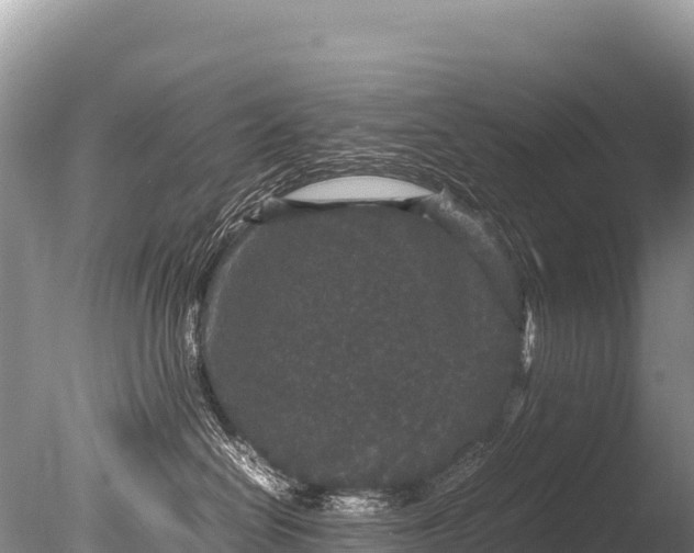 X0000085810286200703301533