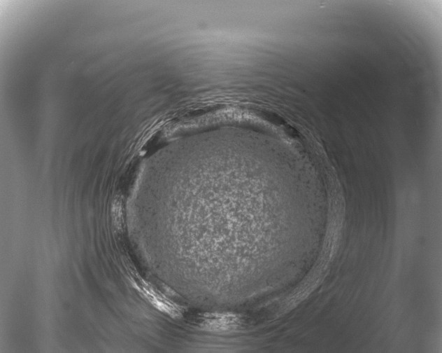 X0000085810288200703301533