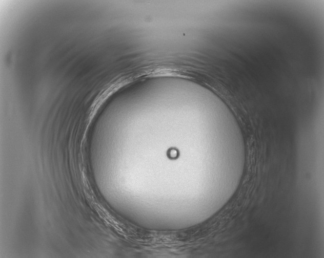 X0000085810289200703301532