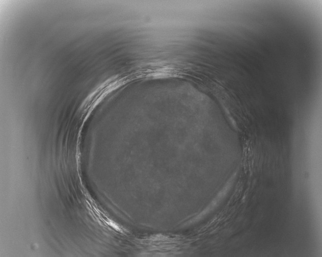 X0000085810290200703301532