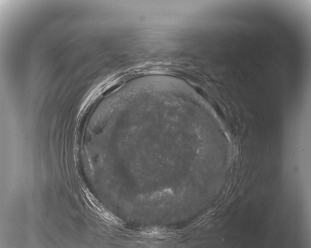 X0000085810293200703301532