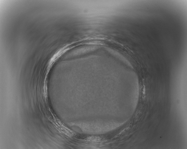 X0000085810294200703301532