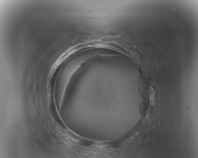 X0000085810295200703301532