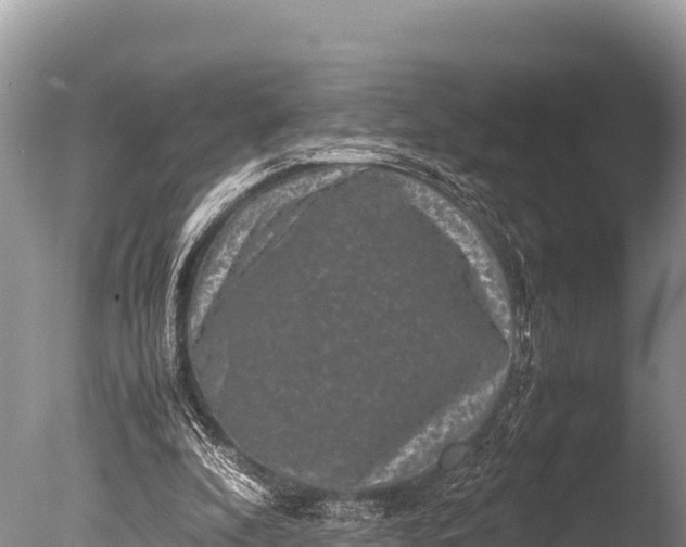 X0000085810296200703301532