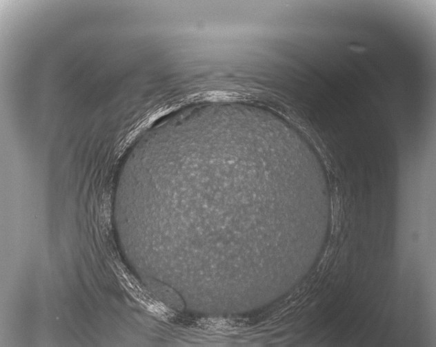 X0000085810297200703301532