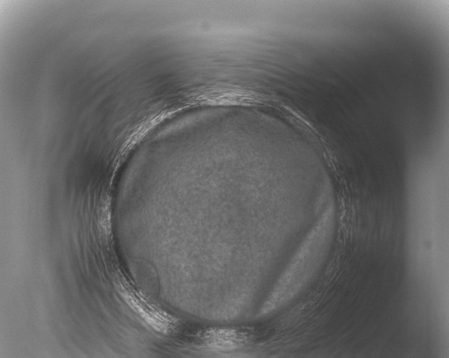 X0000085810298200703301532