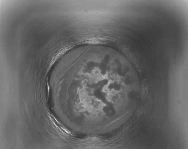 X0000085810299200703301532