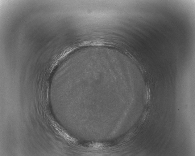 X0000085810301200703301532