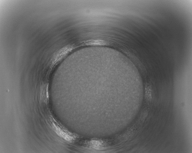 X0000085810302200703301532