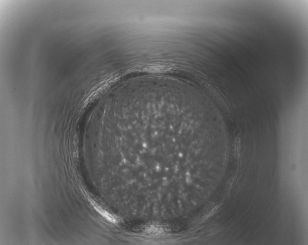 X0000085810303200703301532