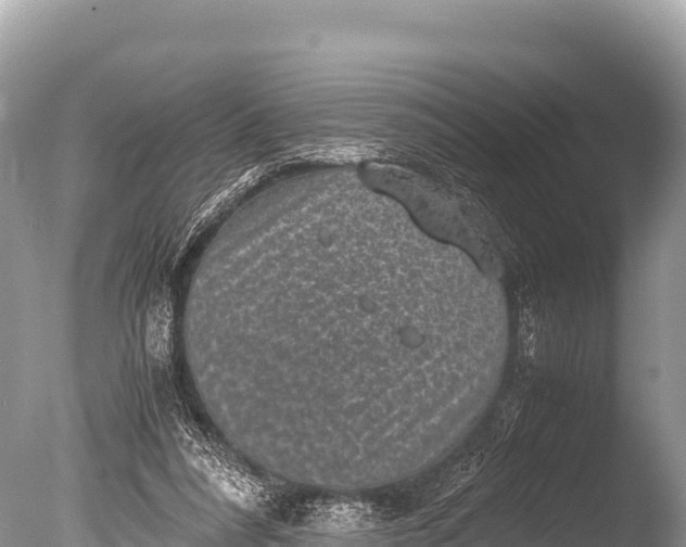 X0000085810304200703301532