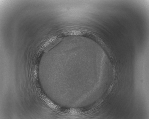 X0000085810305200703301532