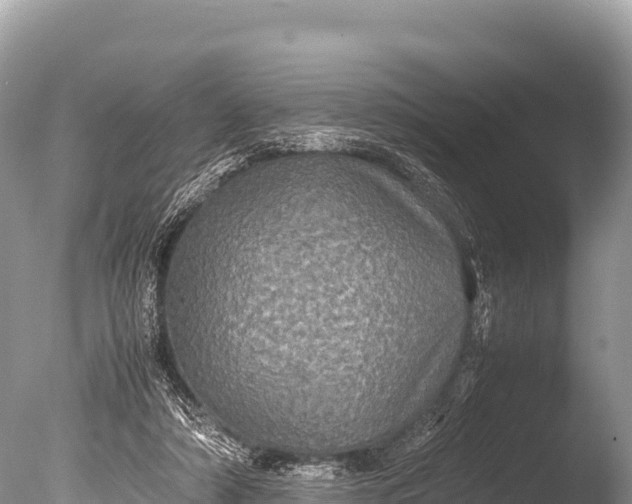 X0000085810306200703301532