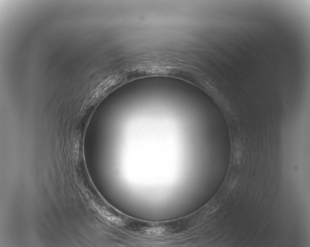 X0000085810309200703301532