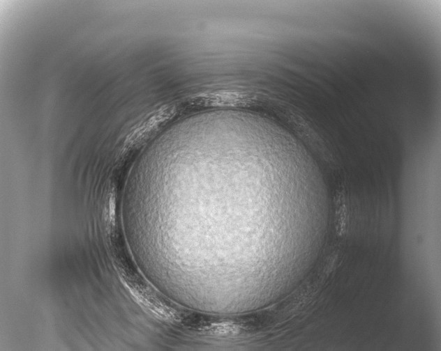 X0000085810310200703301532