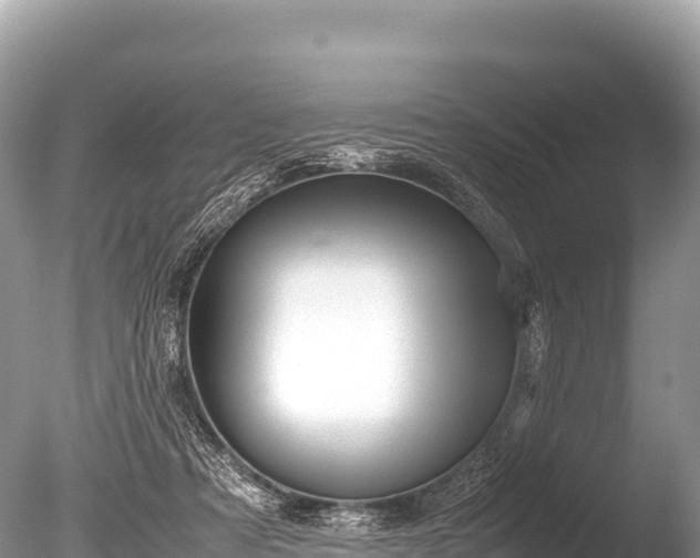 X0000085810313200703301532