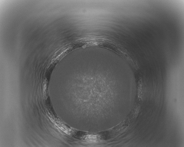 X0000085810314200703301532