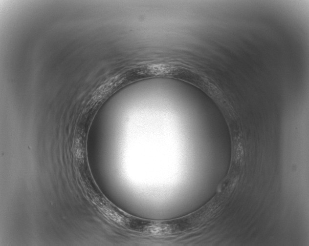 X0000085810317200703301532