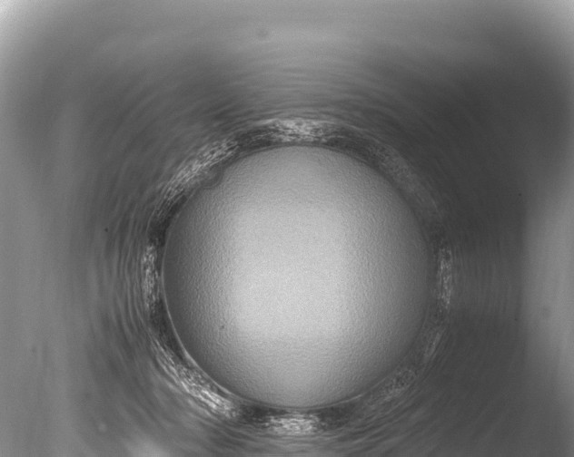 X0000085810318200703301532