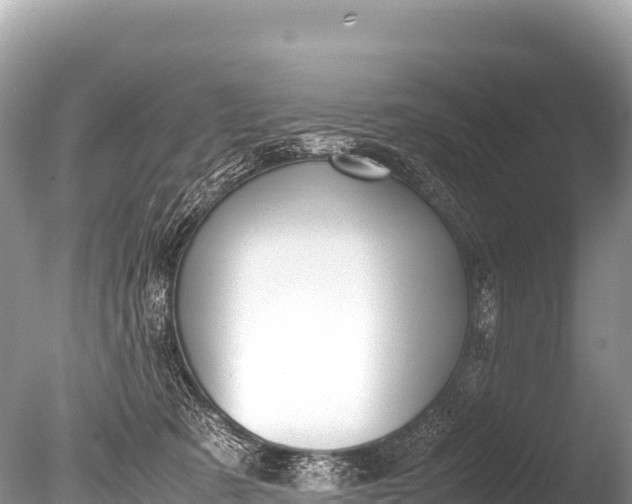 X0000085810321200703301532