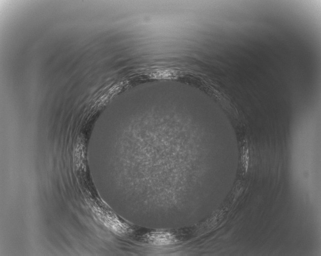 X0000085810322200703301532