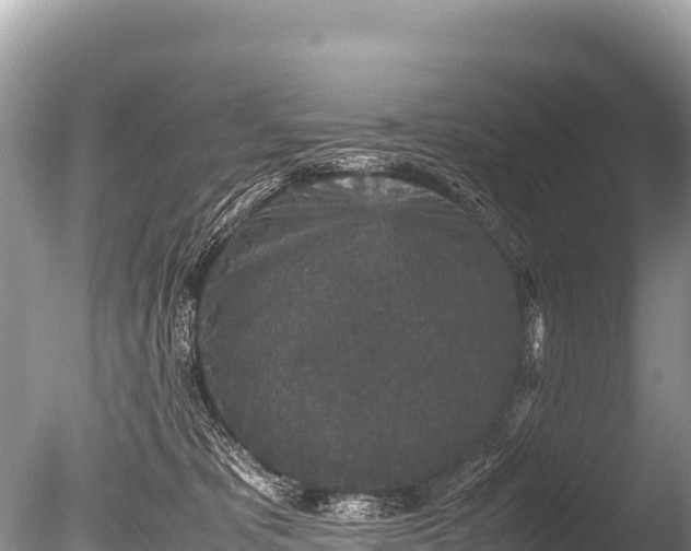 X0000085810325200703301532