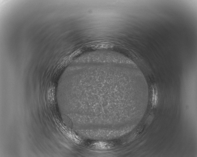 X0000085810326200703301532