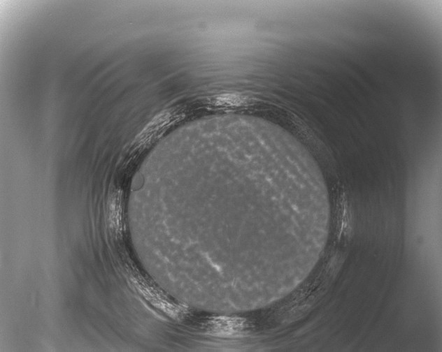 X0000085810328200703301532