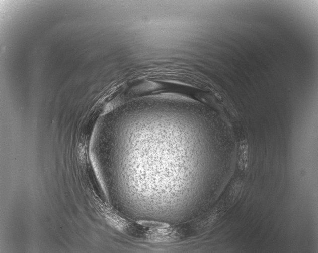 X0000085810329200703301532