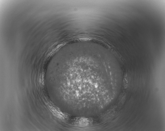 X0000085810330200703301532