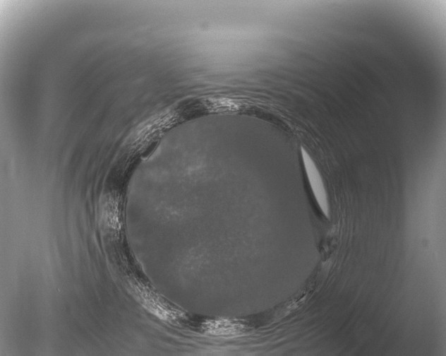 X0000085810331200703301532