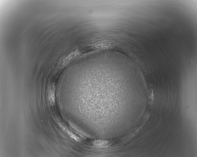 X0000085810334200703301532