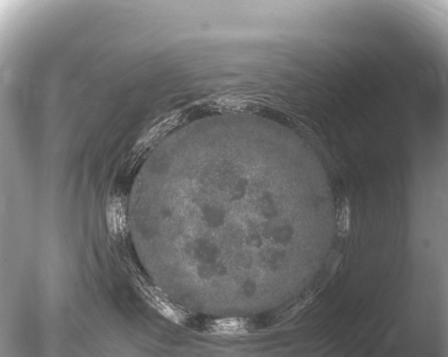 X0000085810335200703301532