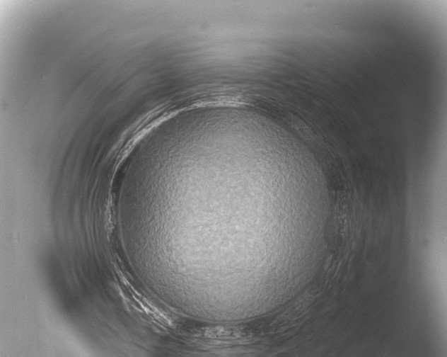 X0000085810338200703301531