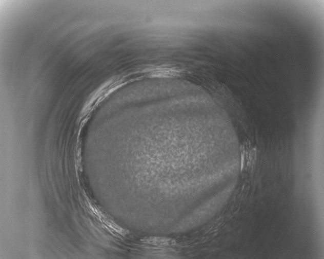 X0000085810339200703301531