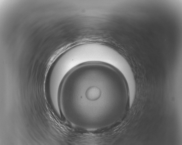 X0000085810340200703301531