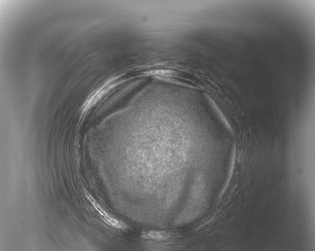 X0000085810341200703301531