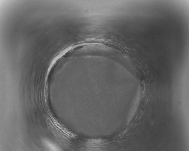 X0000085810342200703301531