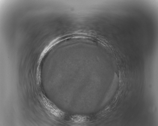 X0000085810343200703301531