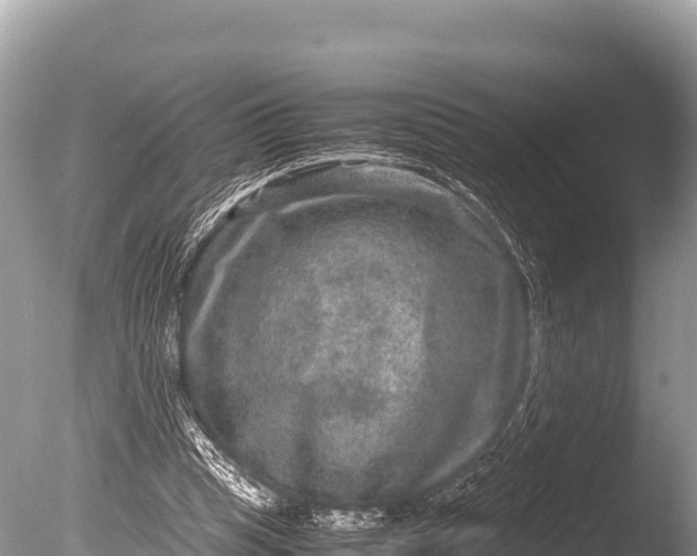 X0000085810345200703301531