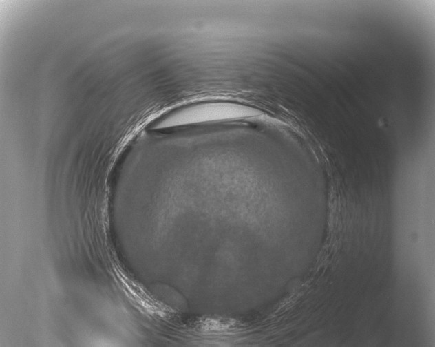 X0000085810346200703301531