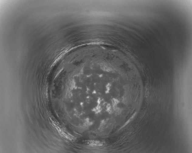 X0000085810347200703301531