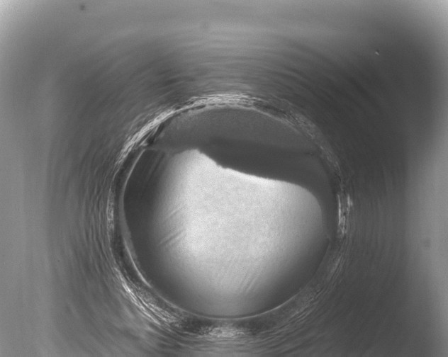 X0000085810348200703301531