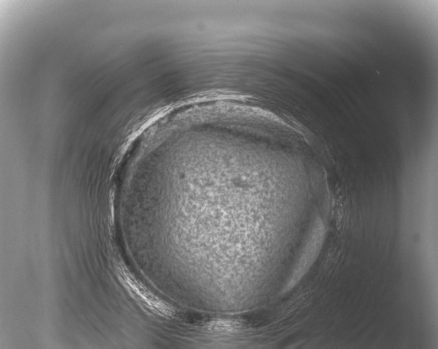 X0000085810350200703301531