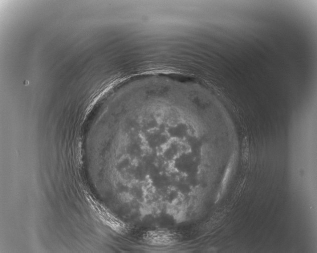 X0000085810351200703301531