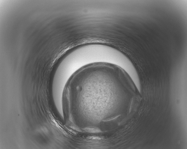 X0000085810352200703301531